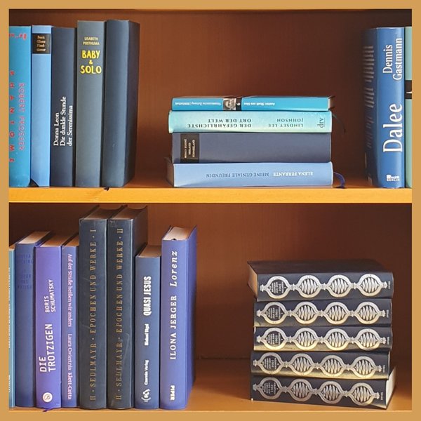 Ausschnitt eines Bücherregals mit blauen Romanen und Sachbüchern verschiedener Autorpersonen, Themen und Farben, Soft- und Hardcover gemischt.