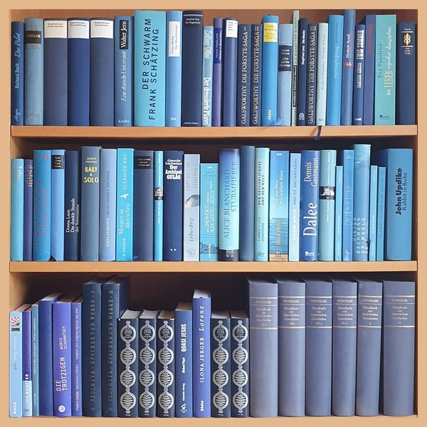 Foto eines Bücherregals mit blauen Romanen und Sachbüchern verschiedener Autorpersonen, Themen und Farben, Soft- und Hardcover gemischt. Frontale Ansicht.