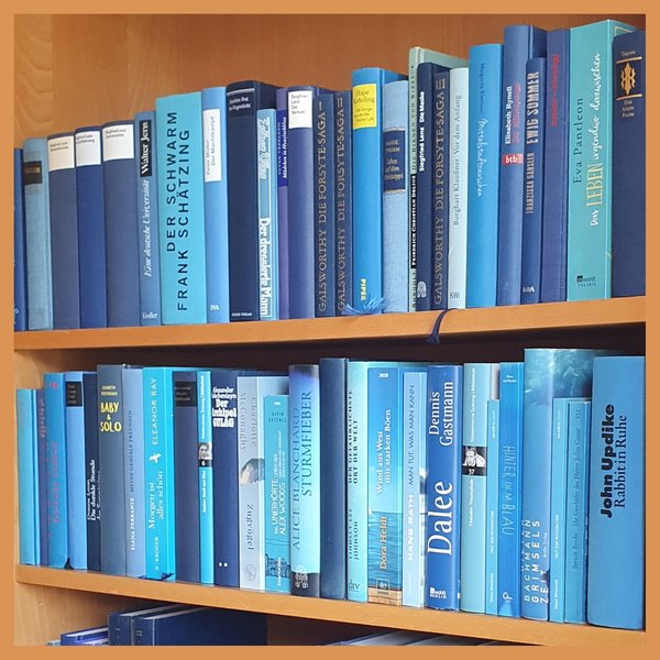Foto eines Bücherregals mit blauen Romanen und Sachbüchern verschiedener Autorpersonen, Themen und Farben, Soft- und Hardcover gemischt. Seitliche Ansicht.
