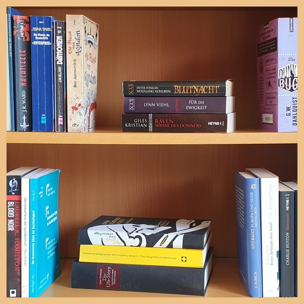 Foto von einem Ausschnitt eines Bücherregals mit Romanen und Sachbüchern verschiedener Autorpersonen und Farben, Hard- und Softcover und Themen gemischt. Unter anderem Blutnacht, Für die Ewigkeit und Europa und seine Menschen.