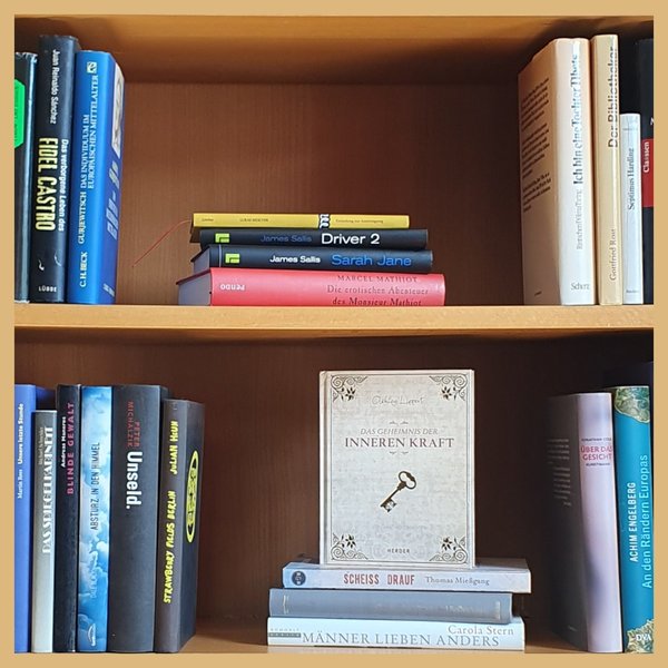 Foto von einem Ausschnitt eines Bücherregals mit klassischen Romanen und Sachbüchern verschiedener Autorpersonen, Themen und Farben. Hardcover. Unter anderem Das Geheimnis der inneren Kraft, An den Rändern Europas und Absturz in den Himmel.