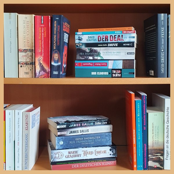 Foto von einem Ausschnitt eines Bücherregals mit Romanen und Sachbüchern verschiedener Autorpersonen, Themen und Farben. Softcover. Unter anderem Der Deal von David Ignatius, Stiller Zorn von James Sallis und Fragen an die deutsche Geschichte.