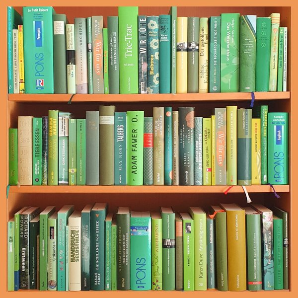 Grüne Bücher Frontal mit Rand2