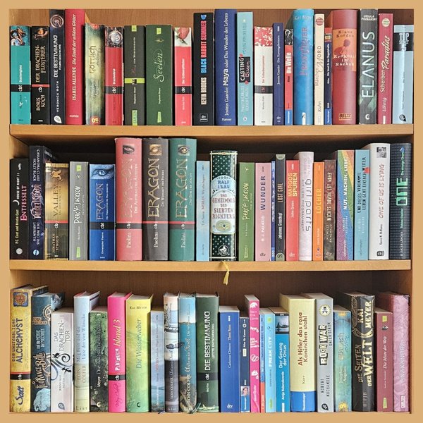 Foto von einem Bücherregal mit Jugendbüchern verschiedener Autorpersonen und Farben, Hard- und Softcover gemischt. Frontale Ansicht.