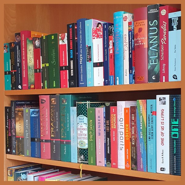 Foto von einem Bücherregal mit Jugendbüchern verschiedener Autorpersonen und Farben, Hard- und Softcover gemischt. Seitliche Ansicht.