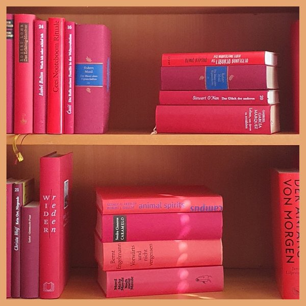 Ausschnitt eines Bücherregals mit roten Romanen und Sachbüchern verschiedener Autorpersonen, Themen und Rottöne, Soft- und Hardcover gemischt.