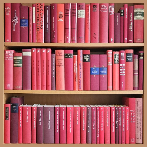 Foto eines Bücherregals mit roten Romanen und Sachbüchern verschiedener Autorpersonen, Themen und Rottöne, Soft- und Hardcover gemischt. Frontale Ansicht.