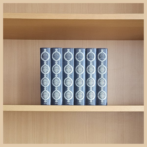 Das Foto zeigt die sechsbändige Reihe "Die Erzählungen aus den 1001 Nächten" in einem Regal.